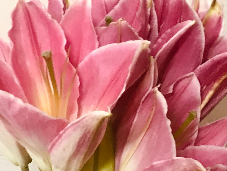 Flowe